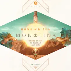 Burning Sun (DAVI Remix) Song Lyrics