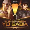 Yo sabía (feat. De La Ghetto) - Single album lyrics, reviews, download