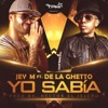 Yo sabía (feat. De La Ghetto) - Single