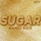 Sugar 2017 (Rob Nunjes Remix) - Kandi Kids lyrics