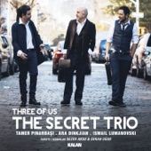 The Secret Trio - Homecoming