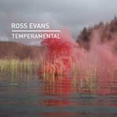 Temperamental (Vibe Killers Remix) artwork