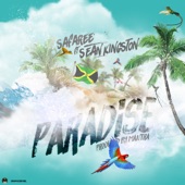 Paradise (feat. Sean Kingston) artwork