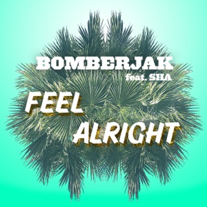 Feel Alright (feat. Sha) - Single