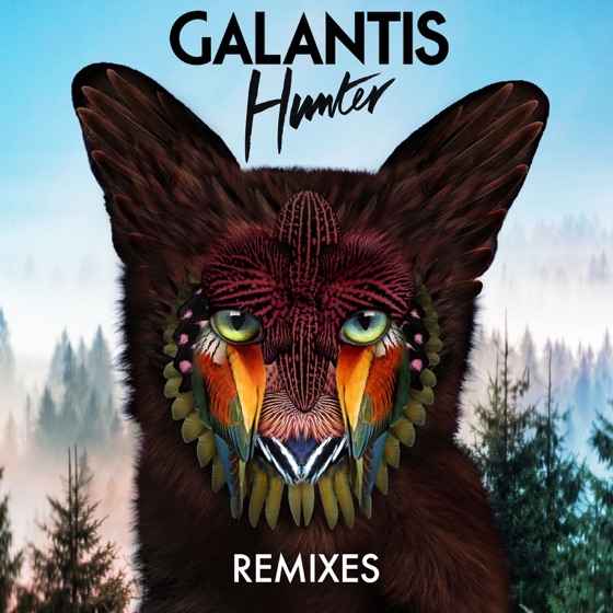 Cover artwork for Hunter (Made in June Remix)