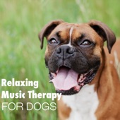 Relaxing Music Therapy for Dog – Soft Instrumental to Calm Down Pet While You Are Out, Mellow Sounds for Puppies artwork