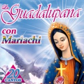 La Guadalupana Con Mariachi artwork