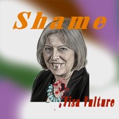 Shame - Visa Vulture