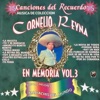 Cornelio Reyna - Te Perdí