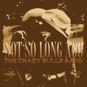 Not so Long Ago - The Crazy Bulls Band