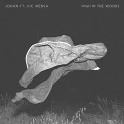 High in the Woods (Remix) [feat. Vic Mensa] - Single - Johan