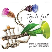 Try to Feel (feat. Hans Peter Salentin) artwork
