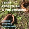 Accidentally in Love - Terry Pedestrian & the Crossing lyrics