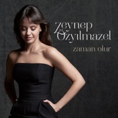 Zaman Olur artwork