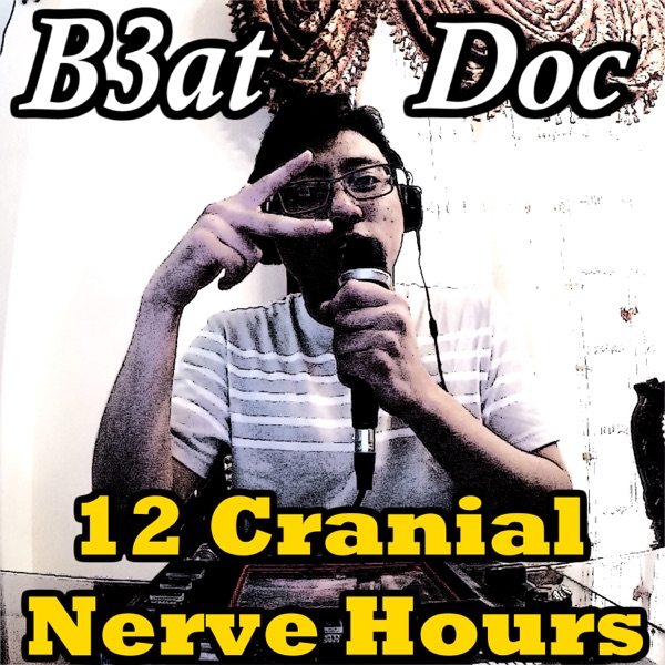 12 Cranial Nerve Hours