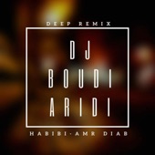 Habibi - Amr Diab (Deep Remix) artwork