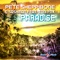 Paradise (feat. Toni Fox) - Pete Sheppibone & Sashman lyrics