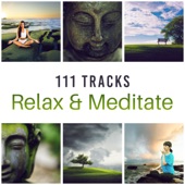 111 Tracks: Relax & Meditate artwork