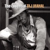 The Essential Taj Mahal, 2005