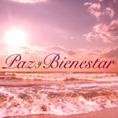 Paz y Bienestar - Música Zen Sanación, Ritmos y Melodías de Asia, Canciones Espirituales artwork