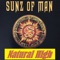 The Plan - Sunz of Man lyrics