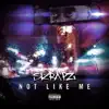 Not Like Me - Single album lyrics, reviews, download