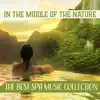 In the Middle of the Nature: The Best Spa Music Collection, Deeply Relaxing Sounds of Nature for Massage and Beauty Treatments album lyrics, reviews, download