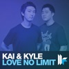 Love No Limit (Remixes)