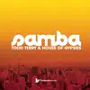 Samba (Matteo DiMarr's Old School Meets New School Remix) song lyrics