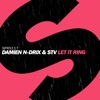 Damien N-Drix & STV - Let it ring