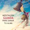 Meditación Guiada para Sanar Tu Alma - Conexión de Mentes Sagradas, Música Calmante para Despertar la Luz Interior album lyrics, reviews, download