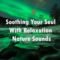 Nature Sounds, Sounds of Nature, Nature Sounds for Sleep and Relaxation & Rain Sounds - Soothing Your Soul with Relaxation Nature Sounds - EP artwork