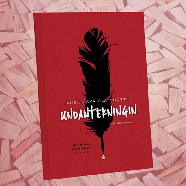 Undantekningin cover