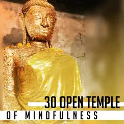 30 Open Temple of Mindfulness: Nature Sounds, Endless Zen Atmosphere for Meditation Retreat, Eastern Clarity, Inner Peace, Spirituality by Mindfulness Meditation Universe album reviews, ratings, credits