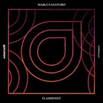 Flashpoint (Extended Mix)