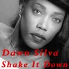 Shake It Down - Single