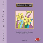 Song of Nature - Dancing Daffodils artwork
