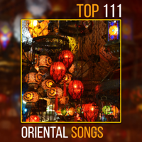 Various Artists - Top 111 Oriental Songs: Healing Sounds for Deep Meditation, Mindfulness Training & Relaxation, Spa & Wellness Lounge, Yoga, Insomnia Cures, Dreaming Time, Stress Relief artwork