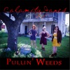 Pullin' Weeds - Single, 2017