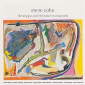 Steve Cohn - The Beggar (1st Movement)