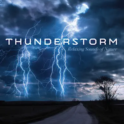 Thunderstorm - Steve Wingfield