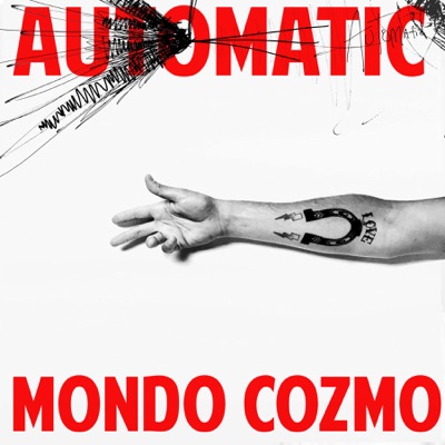 Automatic cover