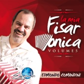 La mia fisarmonica, Vol. 5 artwork