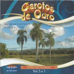 Músicas Gaúchas Inesquecíveis, Vol. 2 - Garotos de Ouro