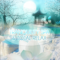 Tranquility Spa Universe - Tranquility Spa & Total Relax - Most Popular Songs for Massage Therapy, Music for Healing Through Sound and Touch, Serenity Relaxing Piano and Sounds of Nature for Relaxation artwork