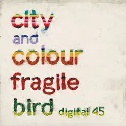 Fragile Bird - Single - City & Colour
