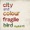 FRAGILE BIRD (ACOUSTIC) - CITY AND COLOUR