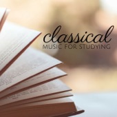 Classical Music for Studying, Reading and Concentration artwork