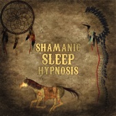 Shamanic Sleep Hypnosis: Ethnic Music for Spiritual Journey, Peace of Body and Mind, Ambient Serenity, Natural Sleep Aid artwork
