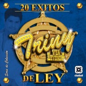 El Rey de Oros artwork